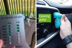 Reviewer holding holding dog feeding tracker/model using cleaning putty