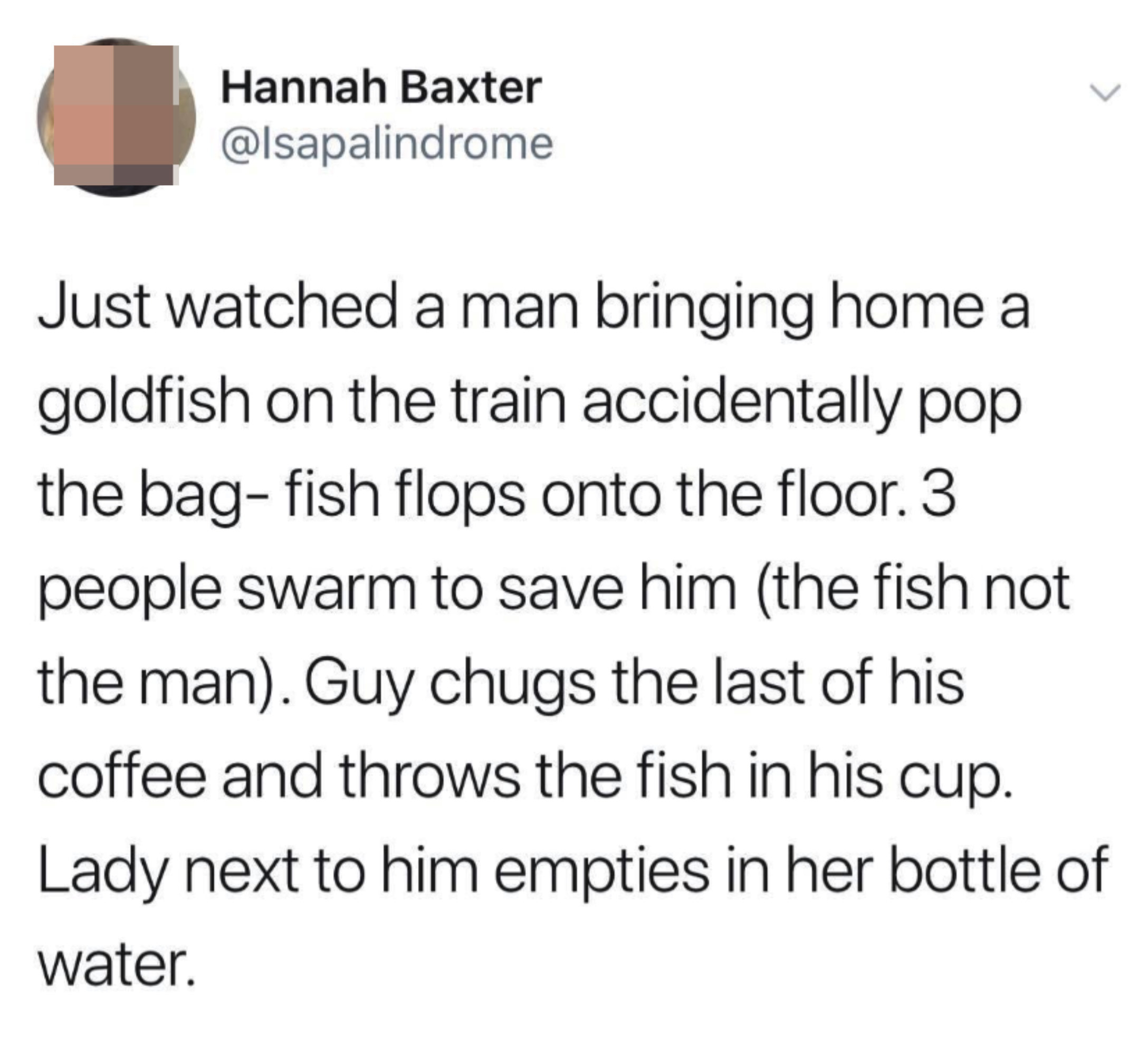 people on a train trying to save a goldfish that fell out of a bag of water