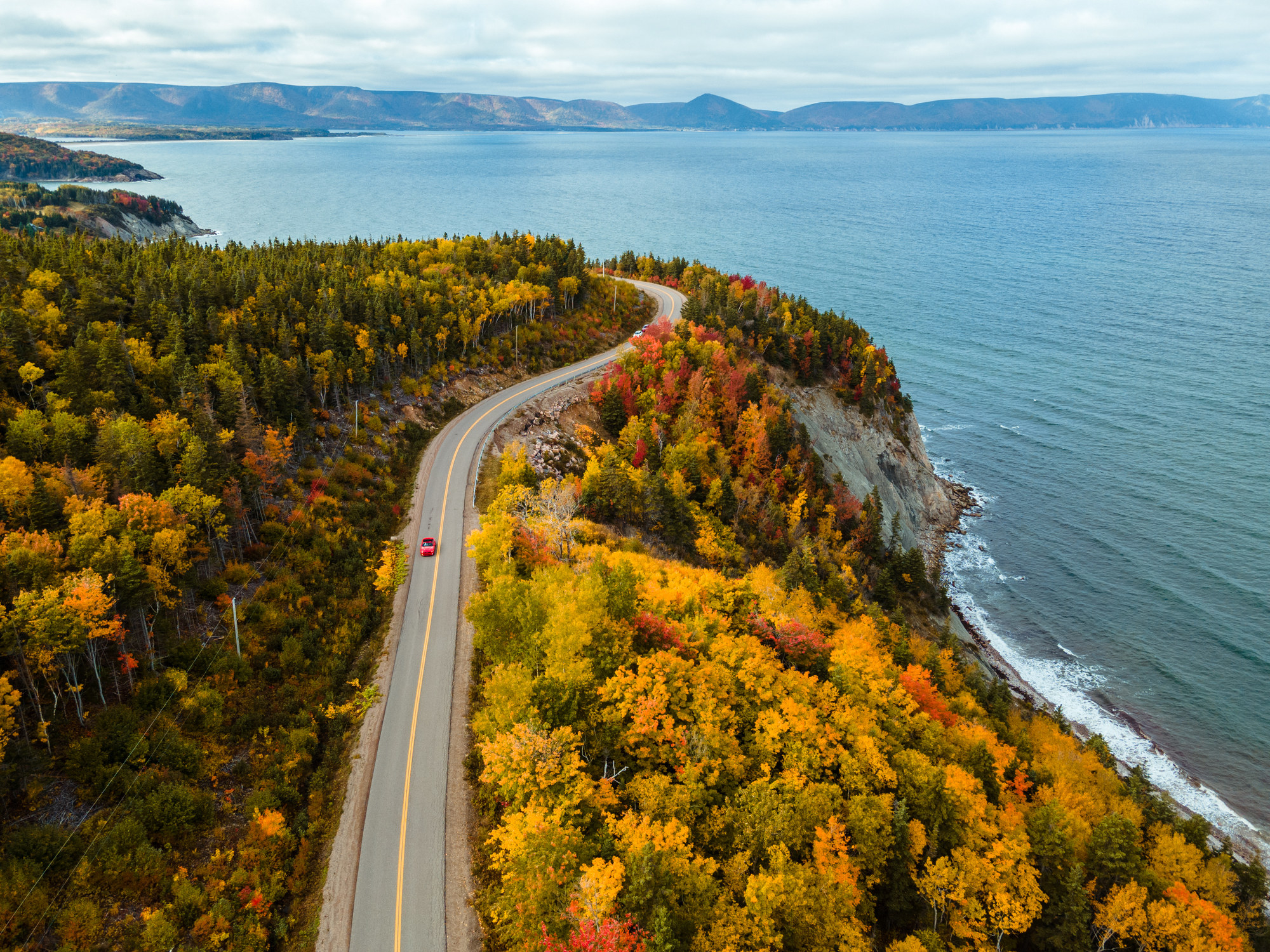 一条穿过秋叶的沿海道路。