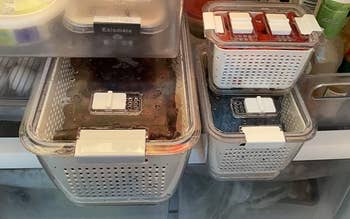 Reviewer's white containers are shown in a fridge