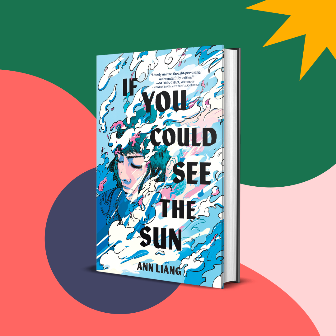 If You Could See the Sun book cover