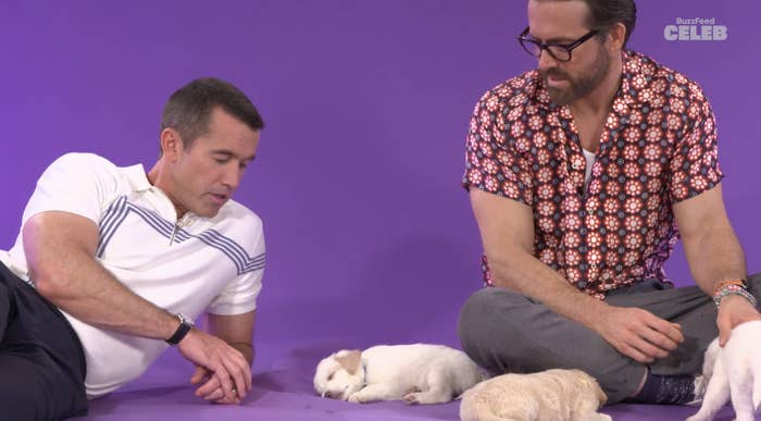 Rob and Ryan playing with puppies