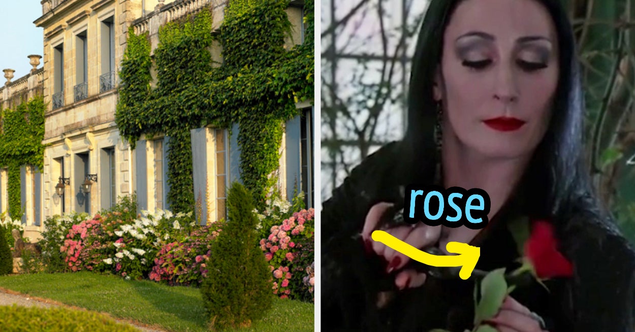 What Flower Are You Personality Quiz