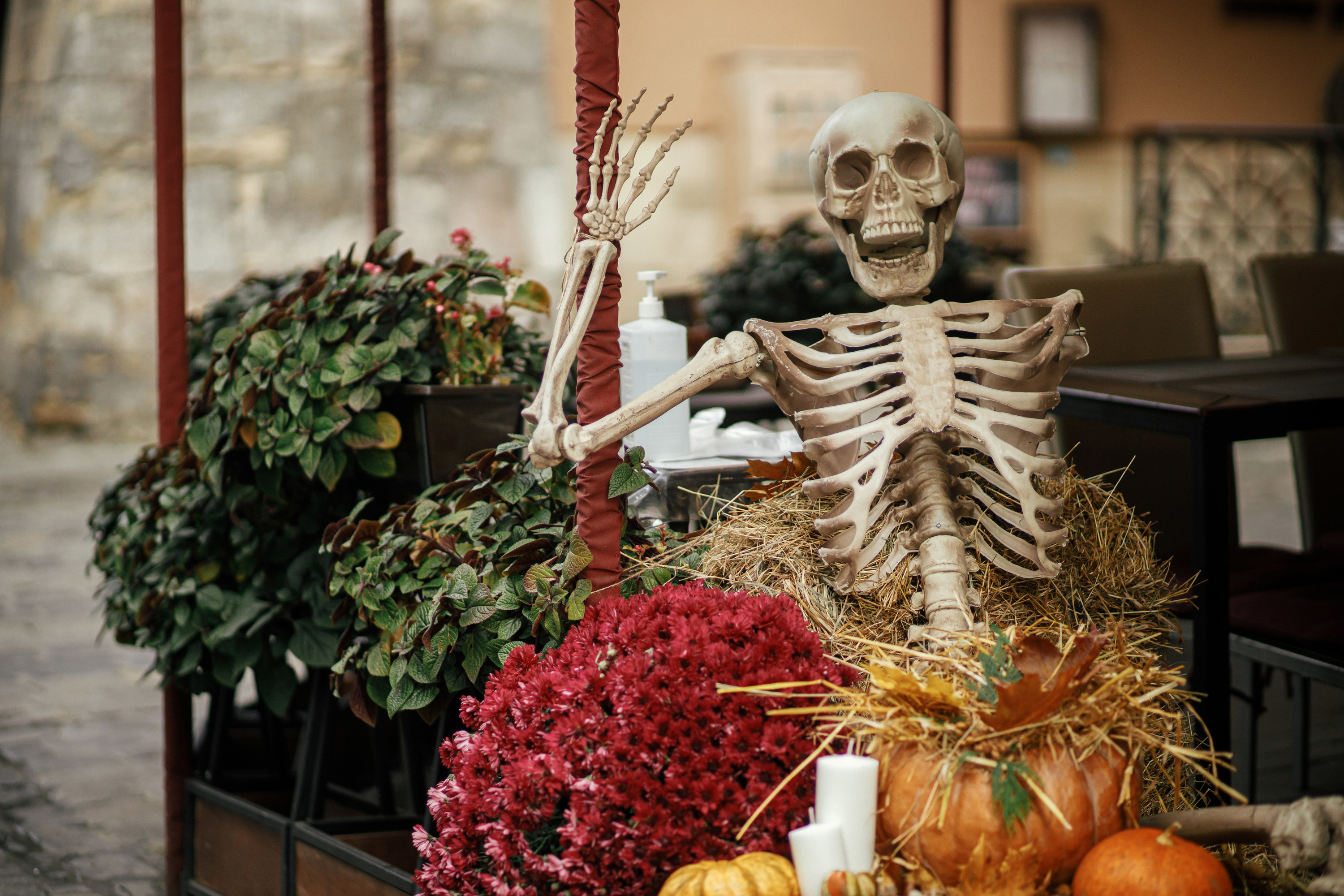 Scary skeleton sitting atop pumpkins, flowers and hay stacks in city street