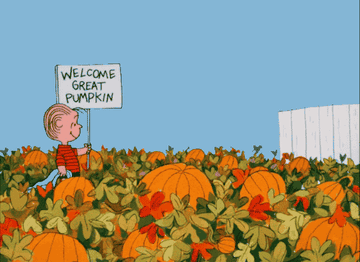 charlie brown cartoon in a field of pumpkins