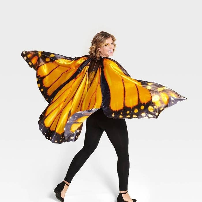 person in butterfly costume
