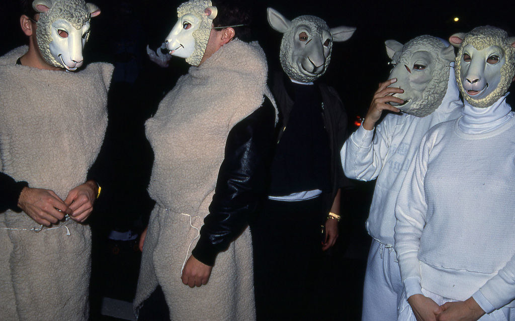 People dressed as sheep