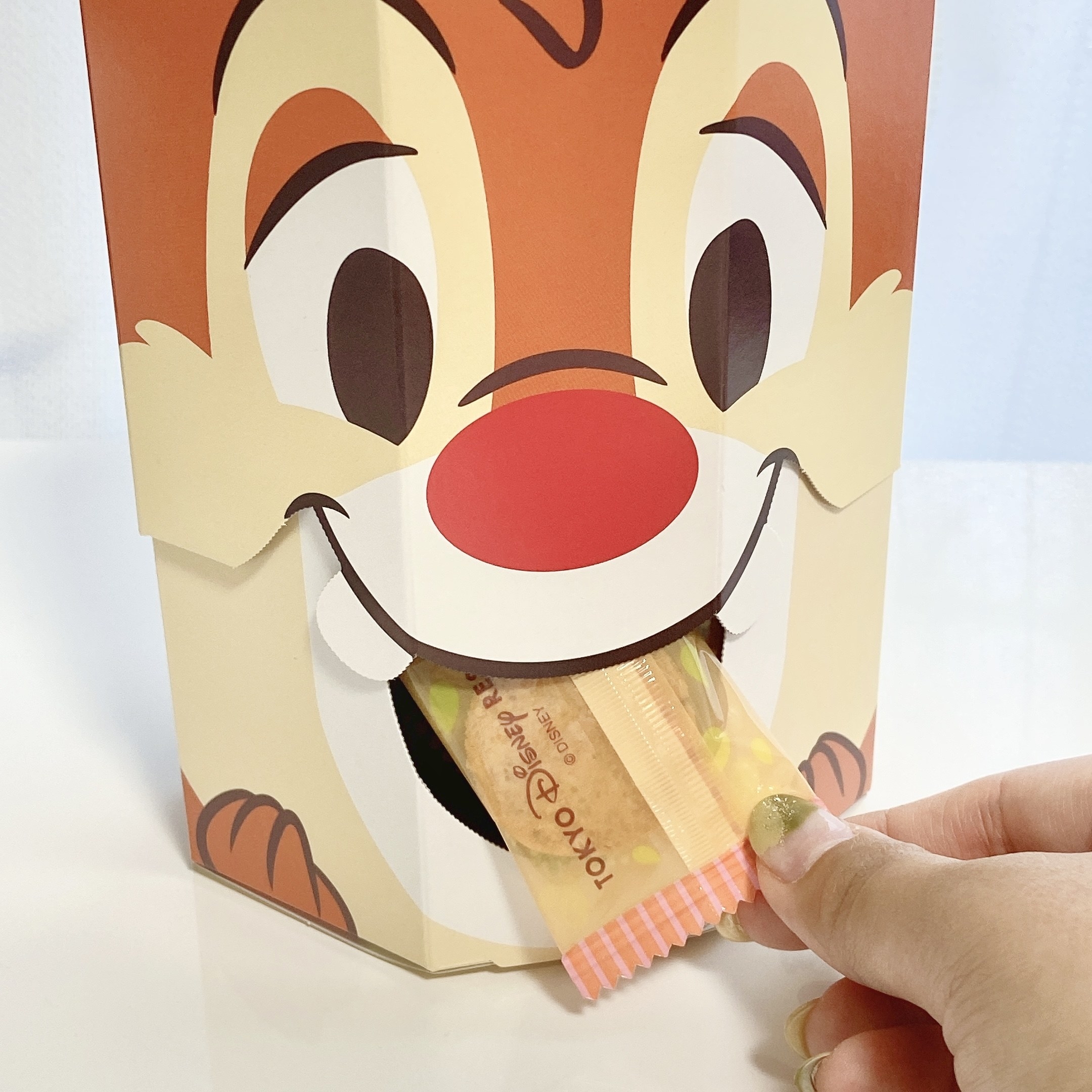 東京ディズニーランド（Tokyo Disneyland）のおすすめおみやげ「クッキー 紙箱」
