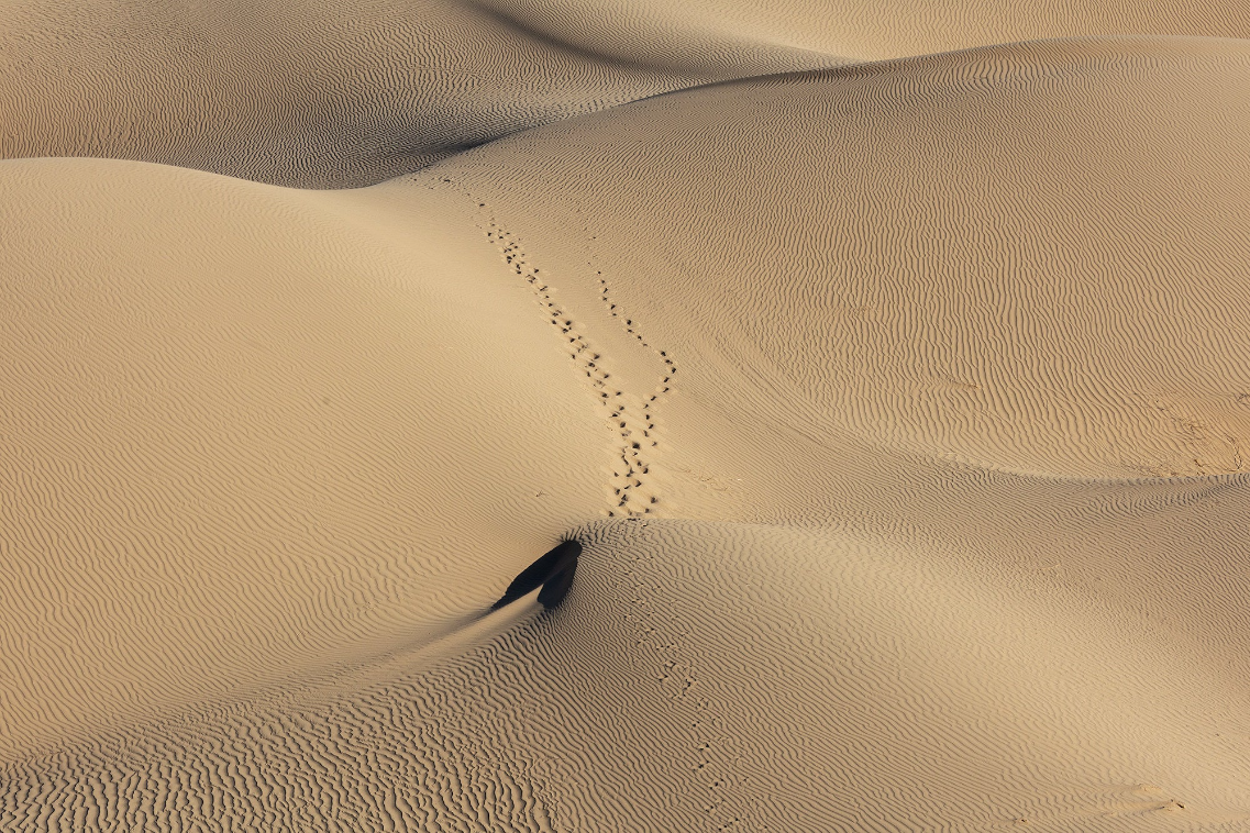 an aerial view of sand dunes with a trail of footprints