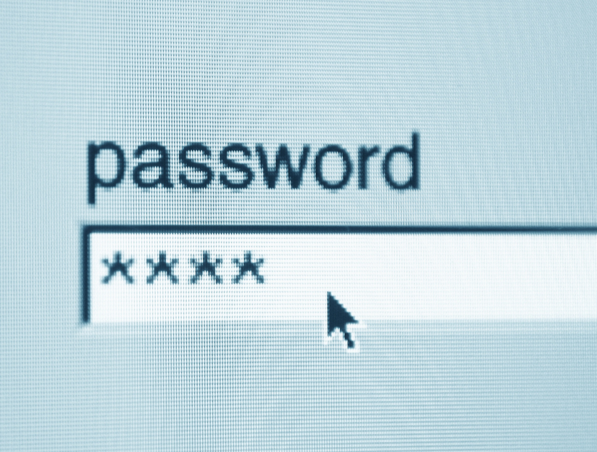 Screenshot of a password being entered on a computer