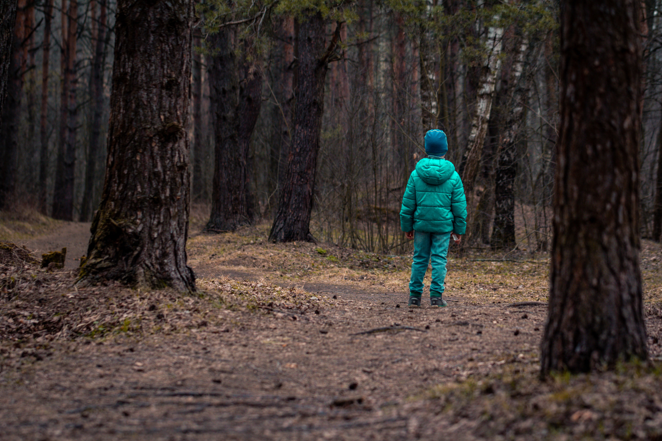 A child standing in the woods