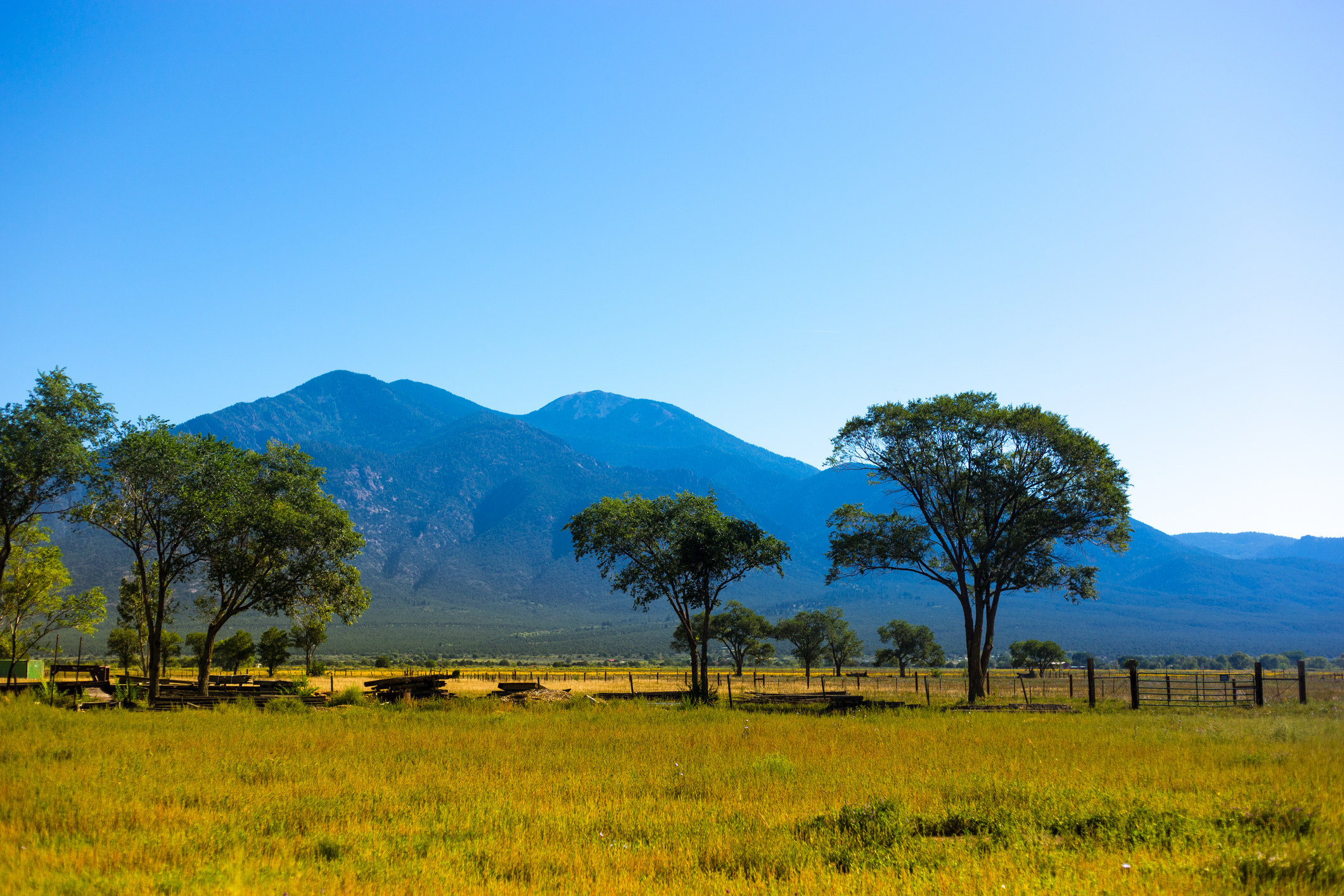 Taos prairie with trees and mountains.
