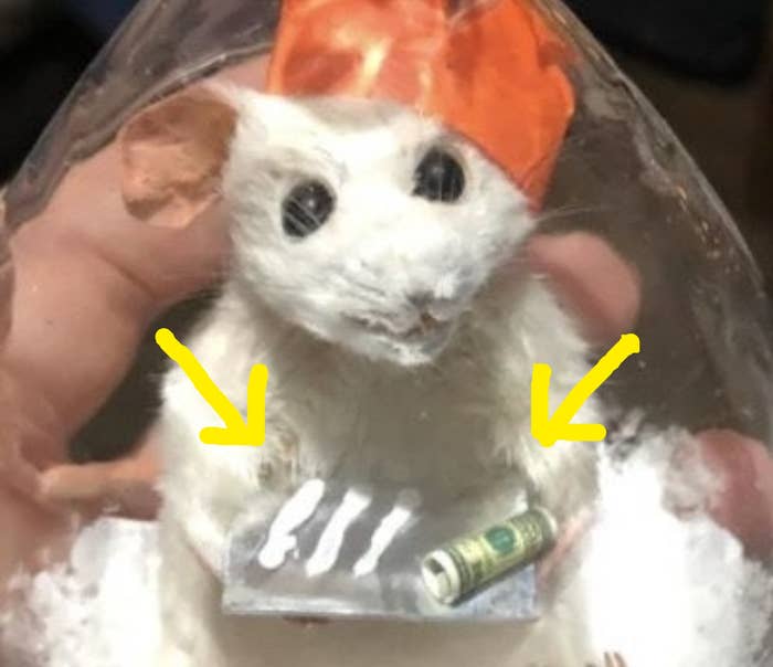 A rat holding cocaine and a dollar bill