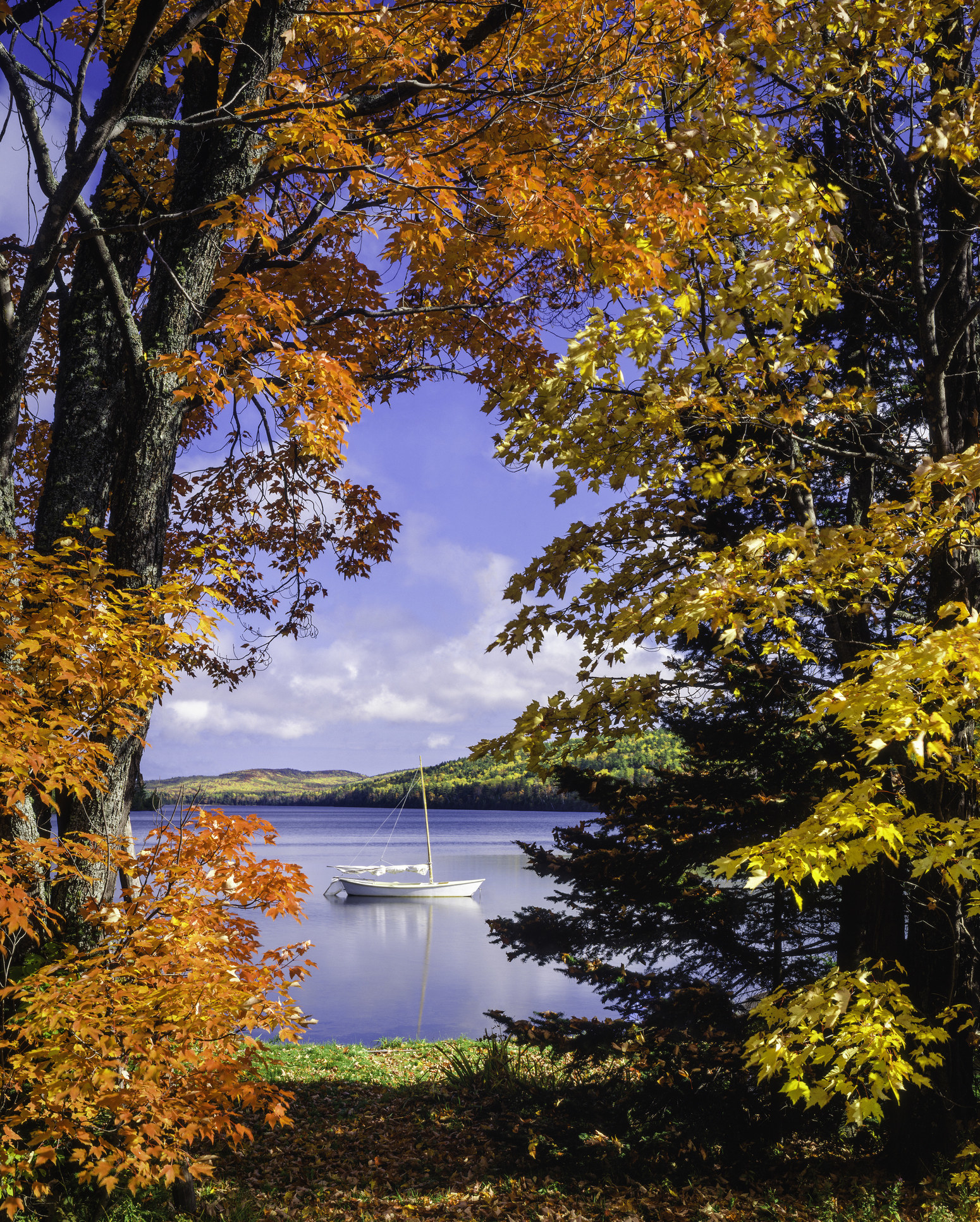 A boat in a lake surrounded by folliage.