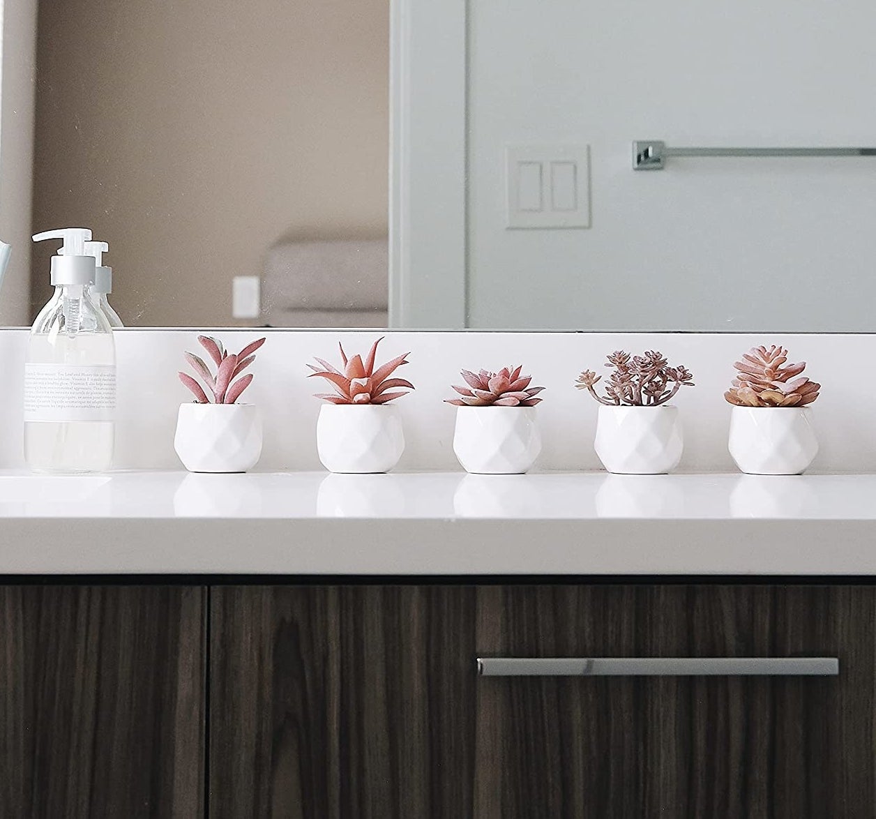 five of the plants on display on a bathroom counter