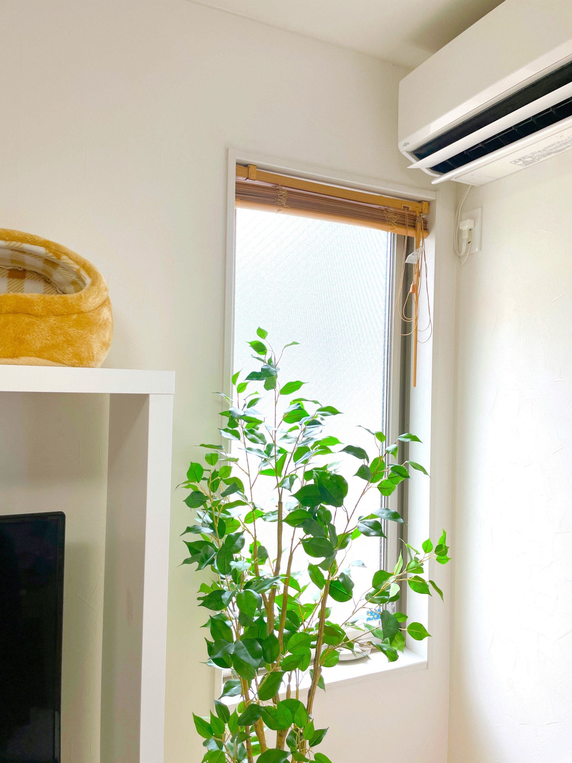 ニトリのおすすめのインテリア「フェイクグリーン フィカス150cm(OS605-5-352)」