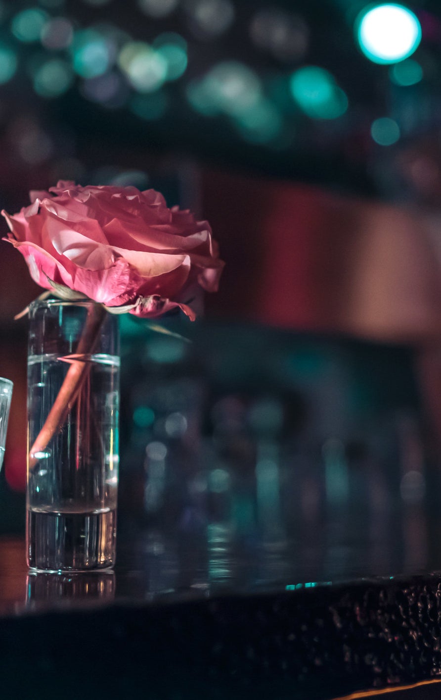 rose and glass at bar