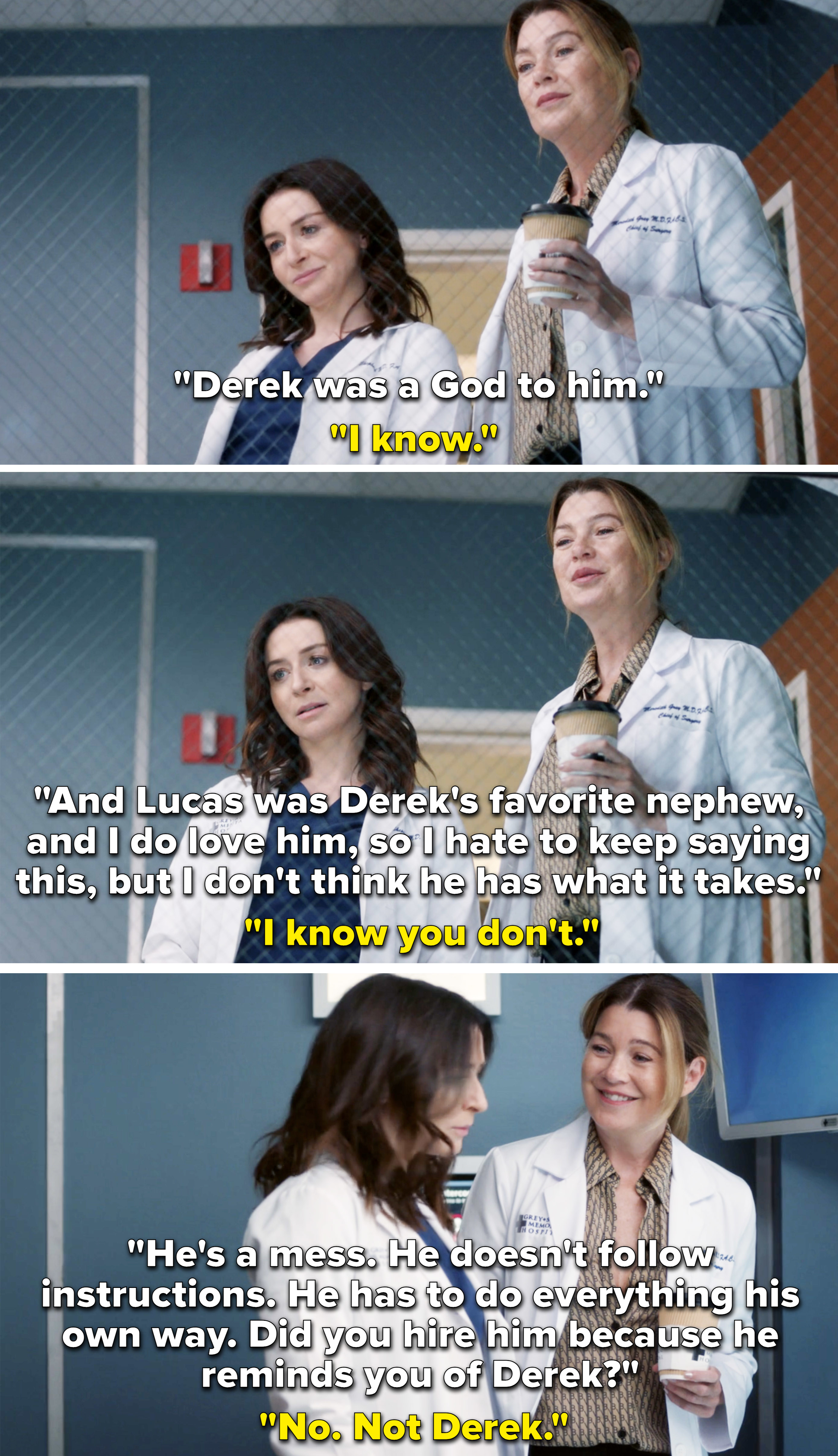 Amelia saying Lucas is a mess and asks if Meredith hired him because he reminds her of Derek