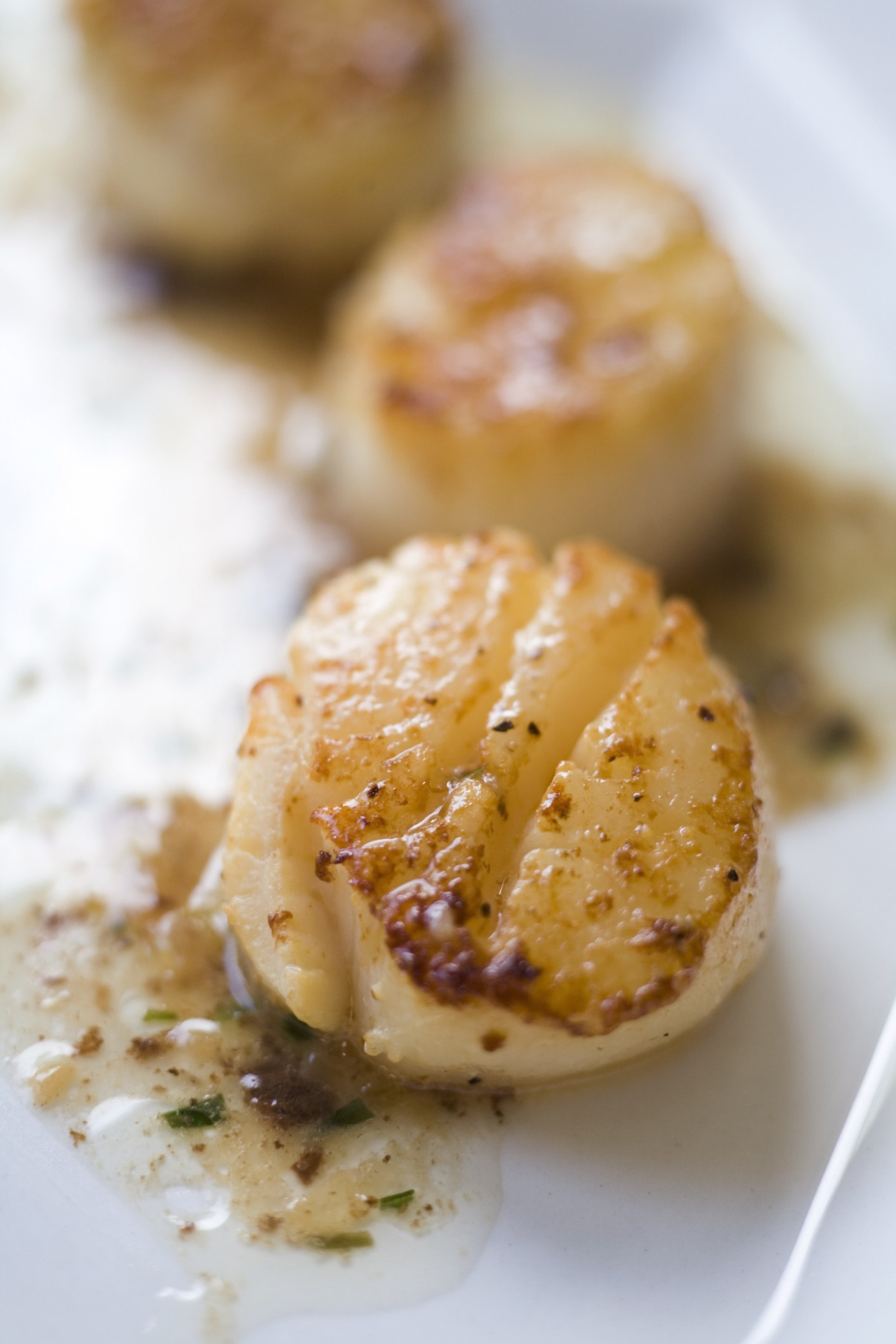 Scallops in herb butter on a white plate.