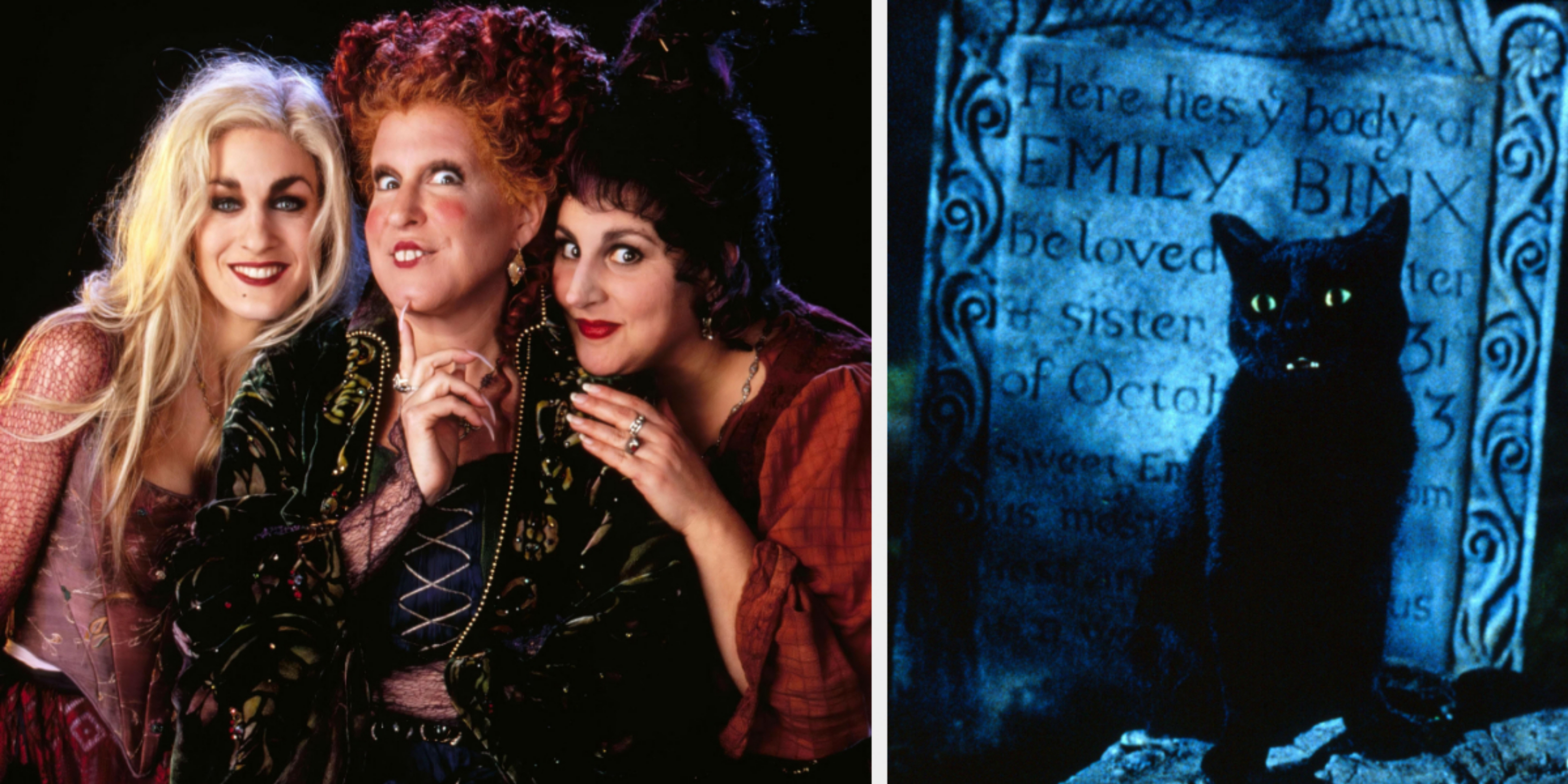 Which Hocus Pocus character are you based on your zodiac sign?