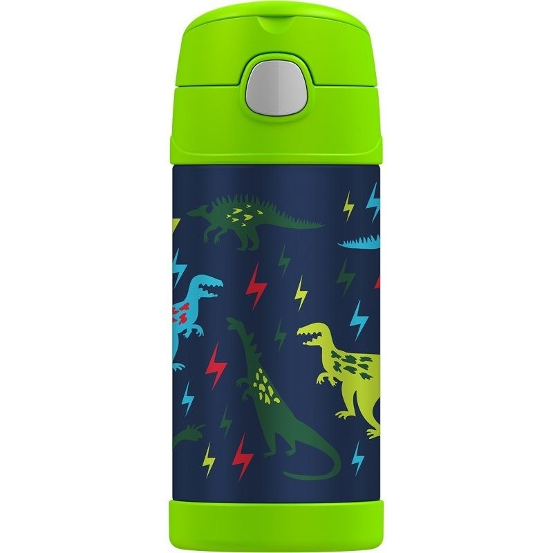 the multicolored dinosaur water bottle