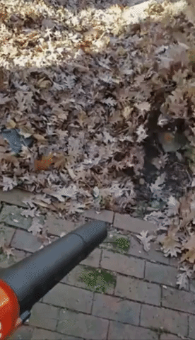 a gif of a reviewer using the leaf blower
