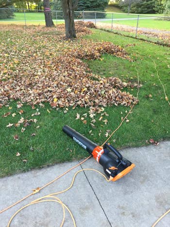 reviewer's leaf-covered lawn before using the electric leaf blower