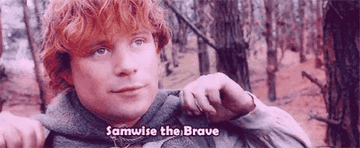Sam calling himself &quot;Samwise the Brave&quot;