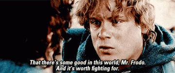 Sam saying &quot;There&#x27;s some good in this world, Mr. Frodo, and it&#x27;s worth fighting for.&quot;