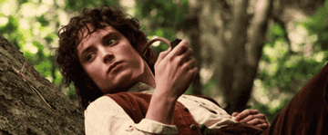 Frodo in the Shire