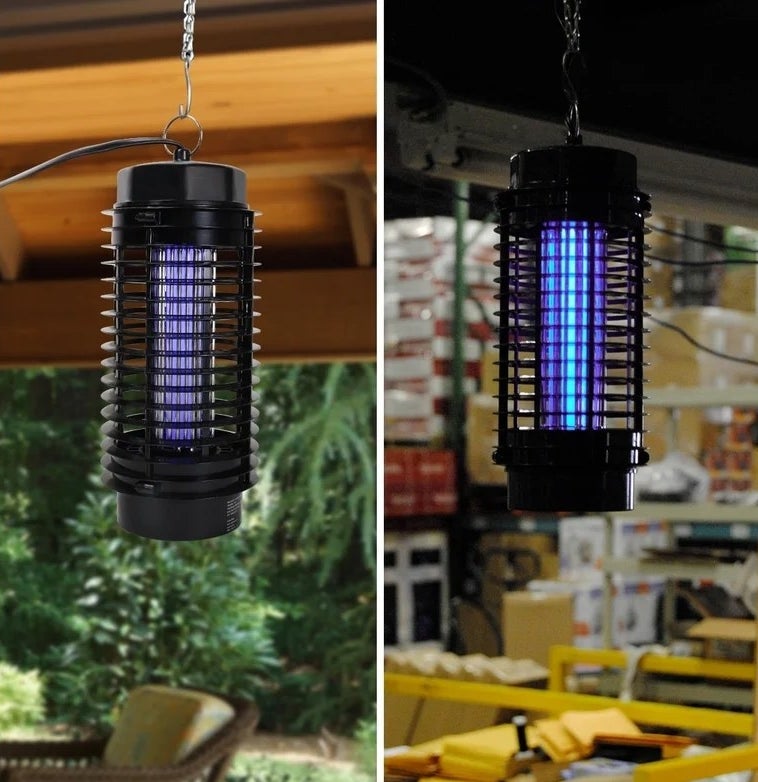 A hanging insect killing lamp