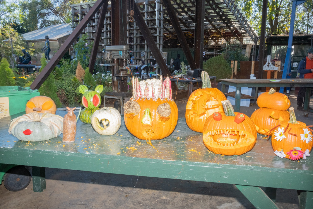 A row of elaborately carved pumpkins