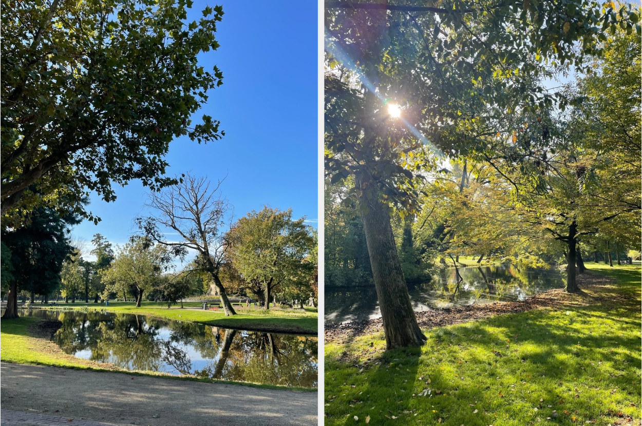 two different angles of vondelpark on a sunny day