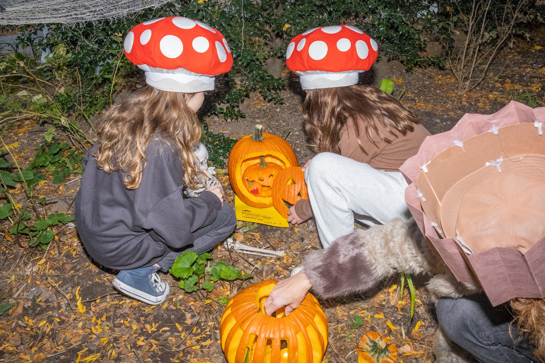 two children in long hair and mushroom hats peer at jack o lanterns on the ground