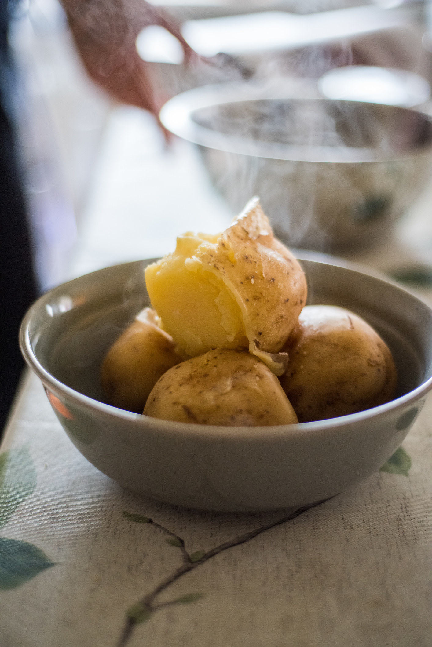 Boiled potatoes in a bowl