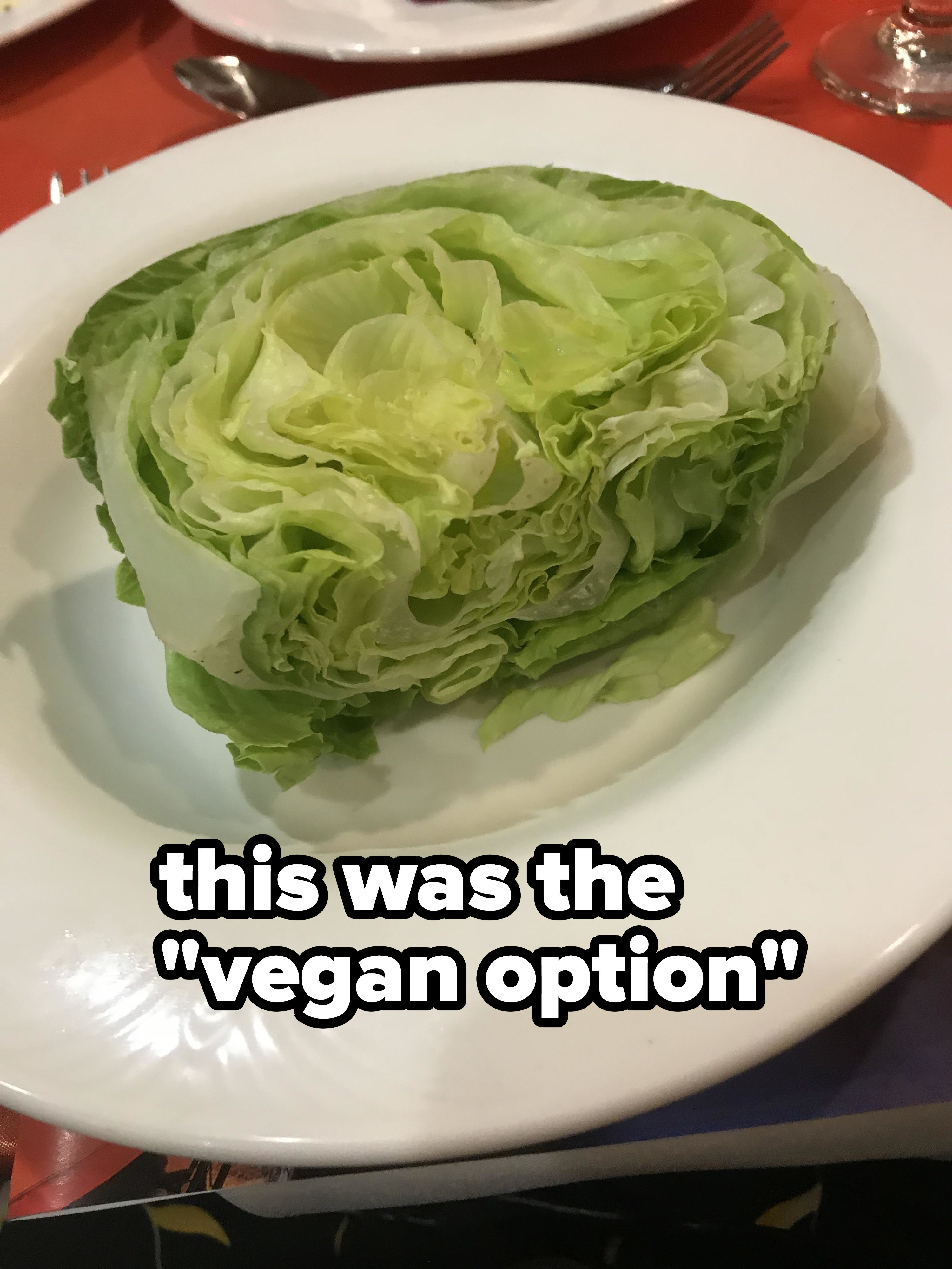 bed of lettuce