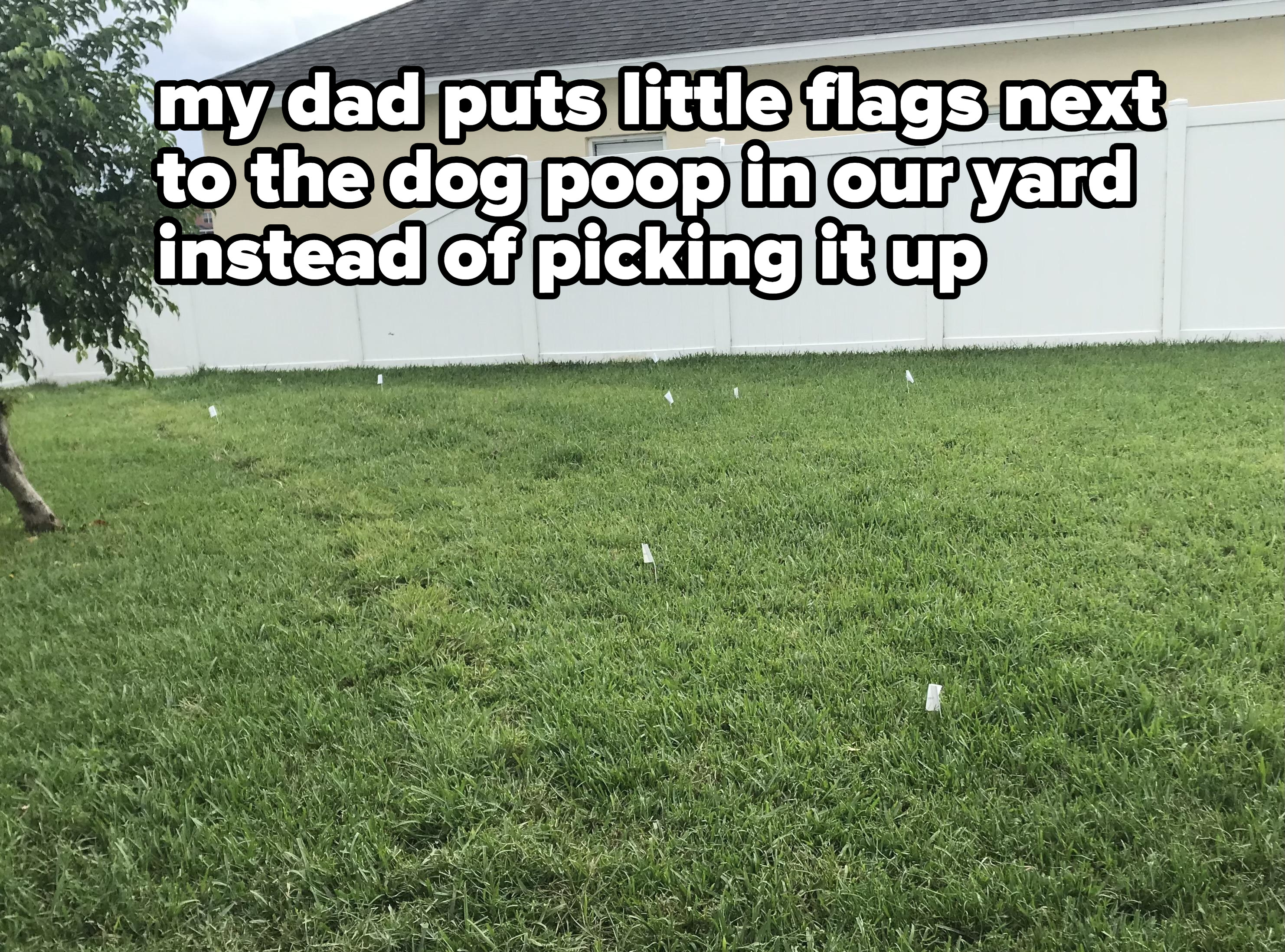 dog poop next to flags