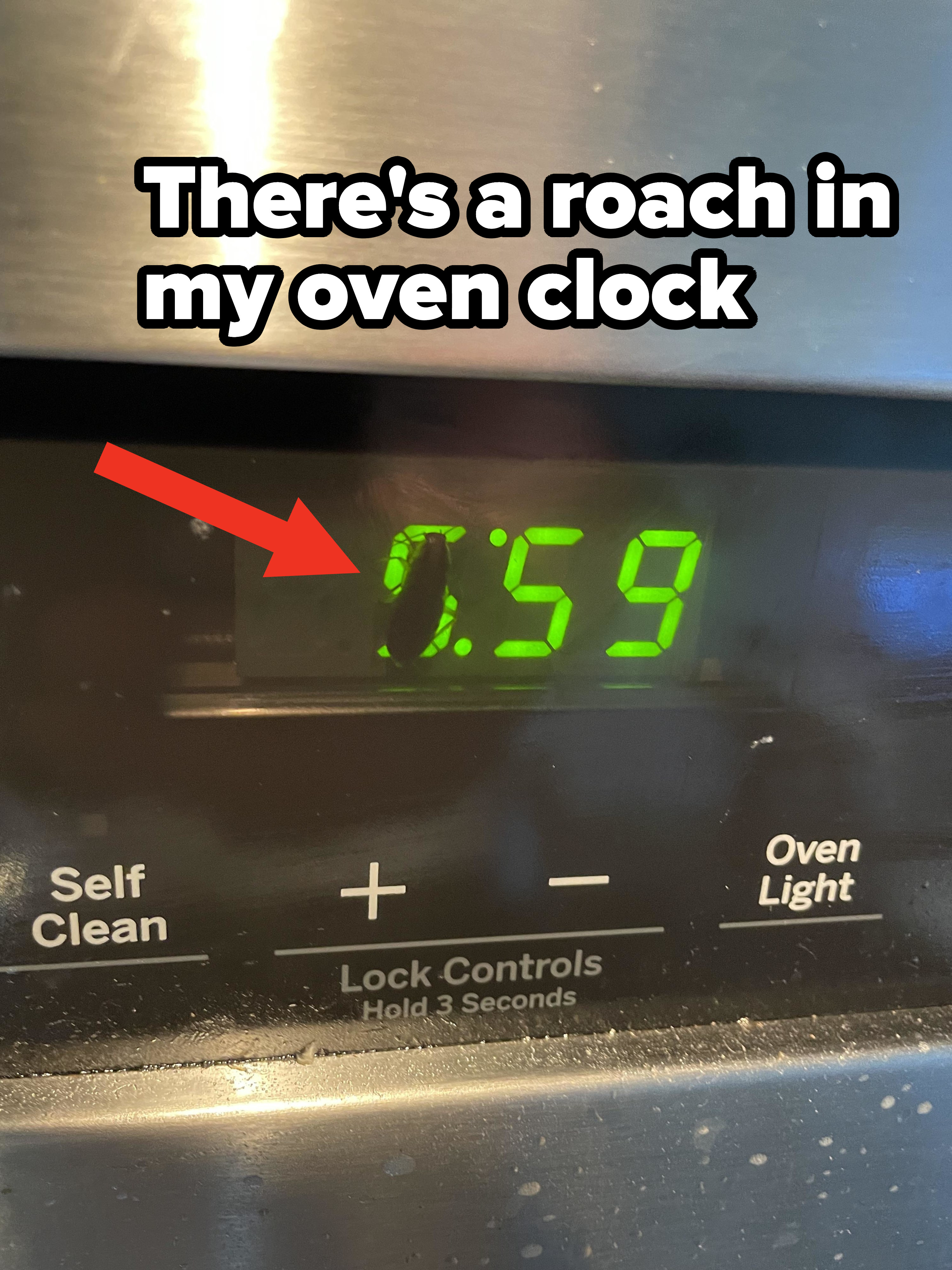 roach in clock