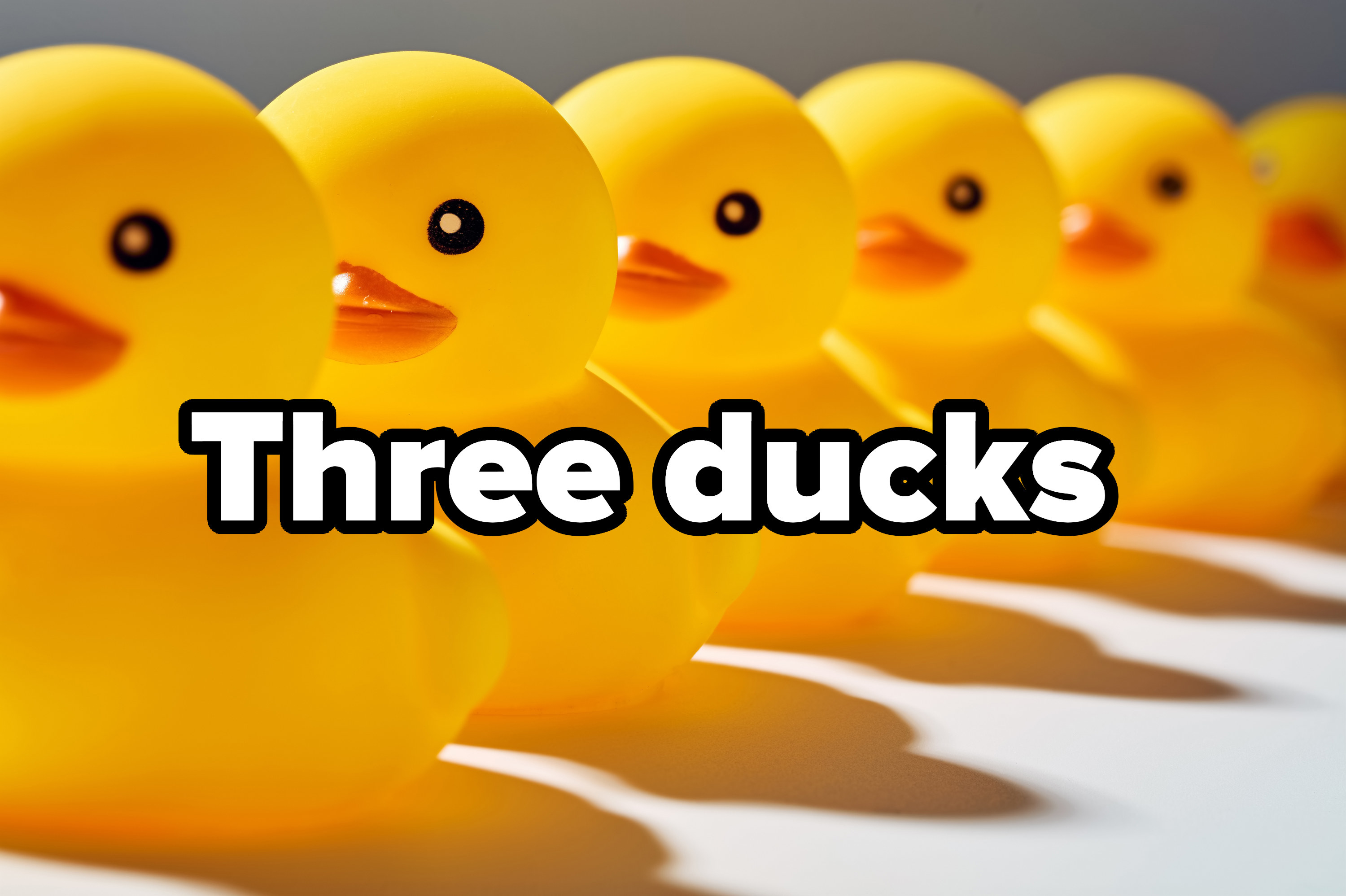 Rubber ducks in a row over text reading &quot;Three ducks&quot;