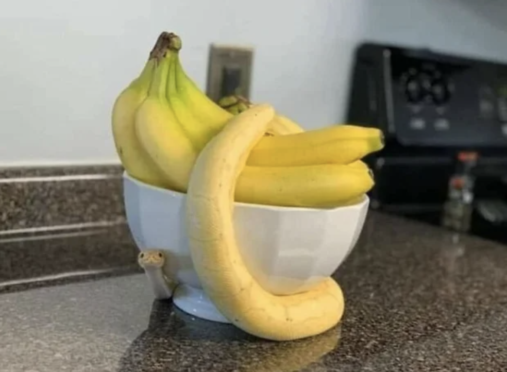 A snake around a bowl of bananas