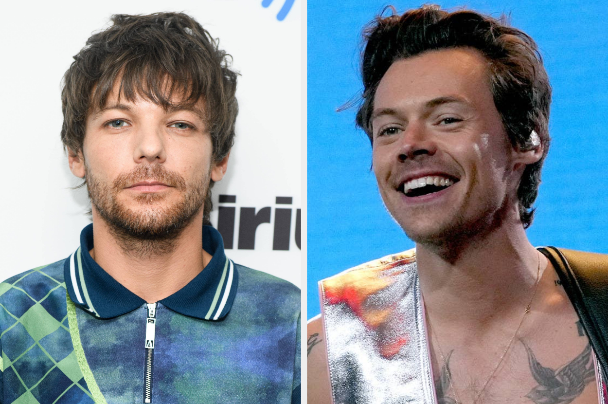 Louis Tomlinson Admits He Was Jealous of Harry Styles' Career