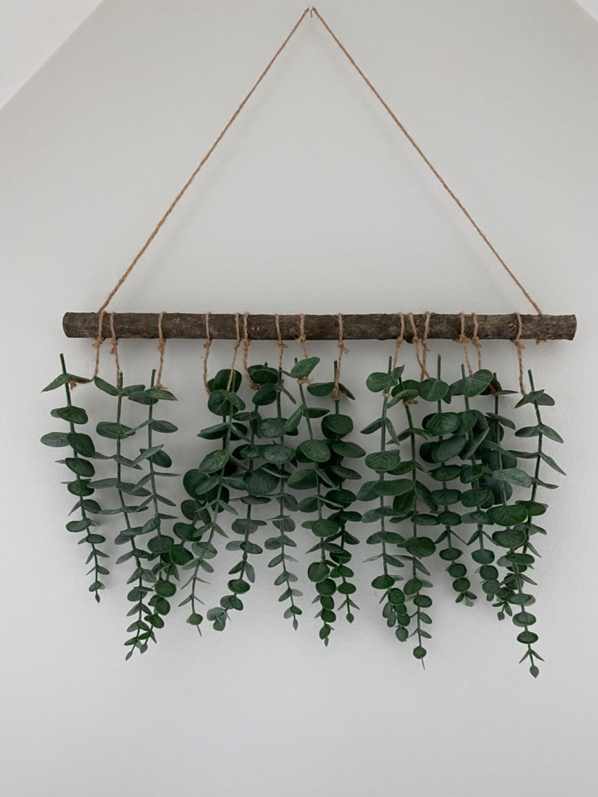 Reviewer&#x27;s eucalyptus wall hanging hung on wall