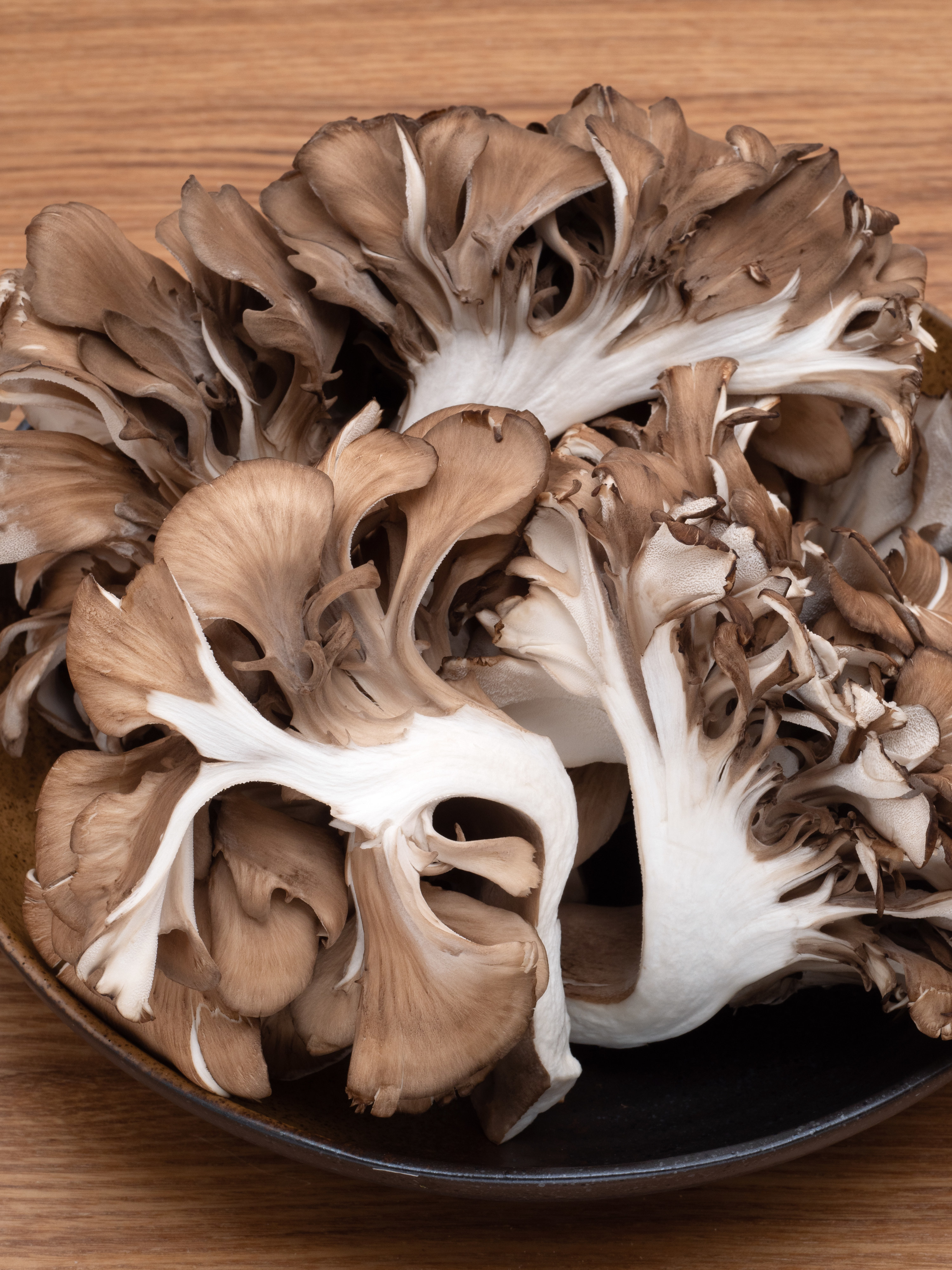 wild mushrooms on a plate