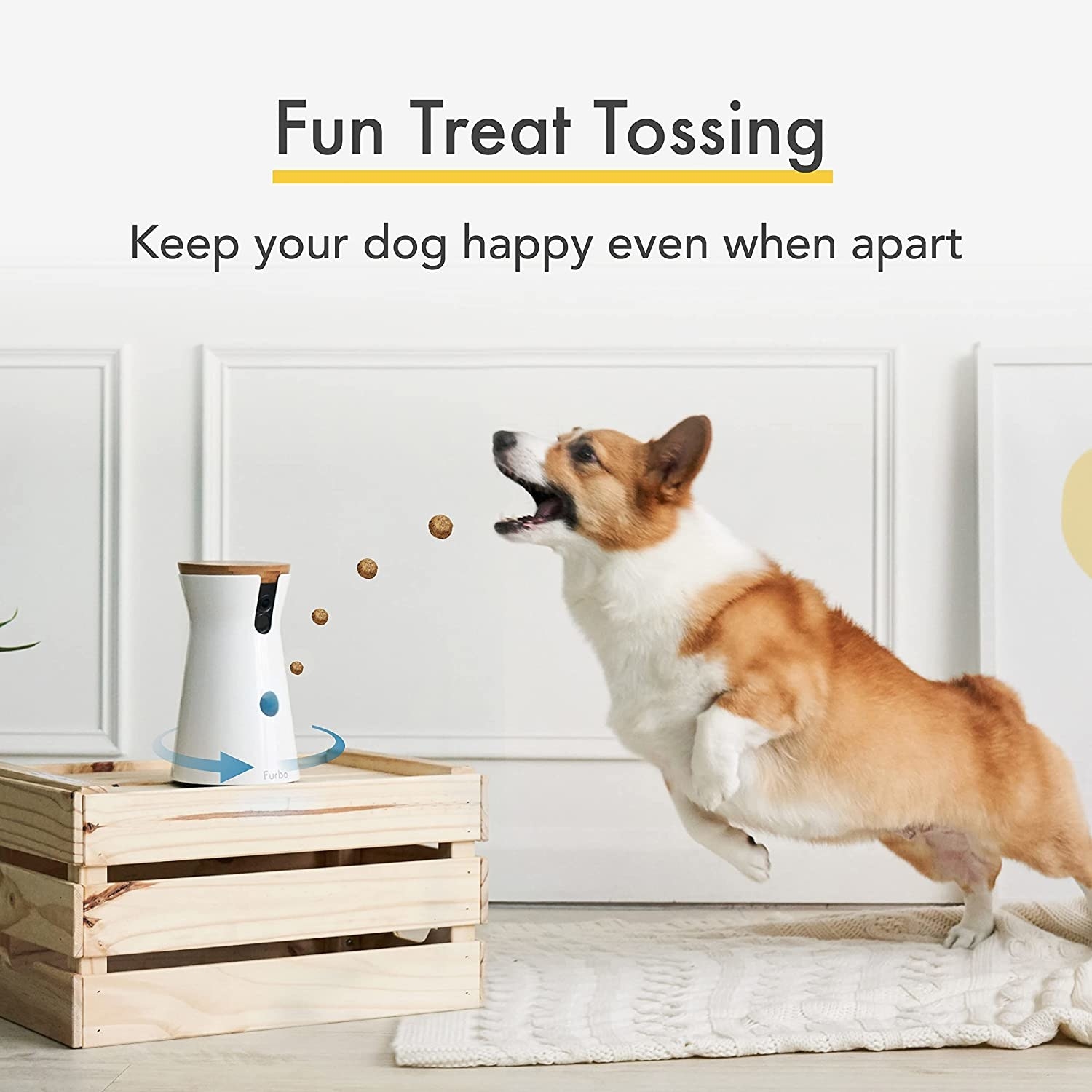 dog catching a dog treat in its mouth as it&#x27;s been dispensed from a furbo