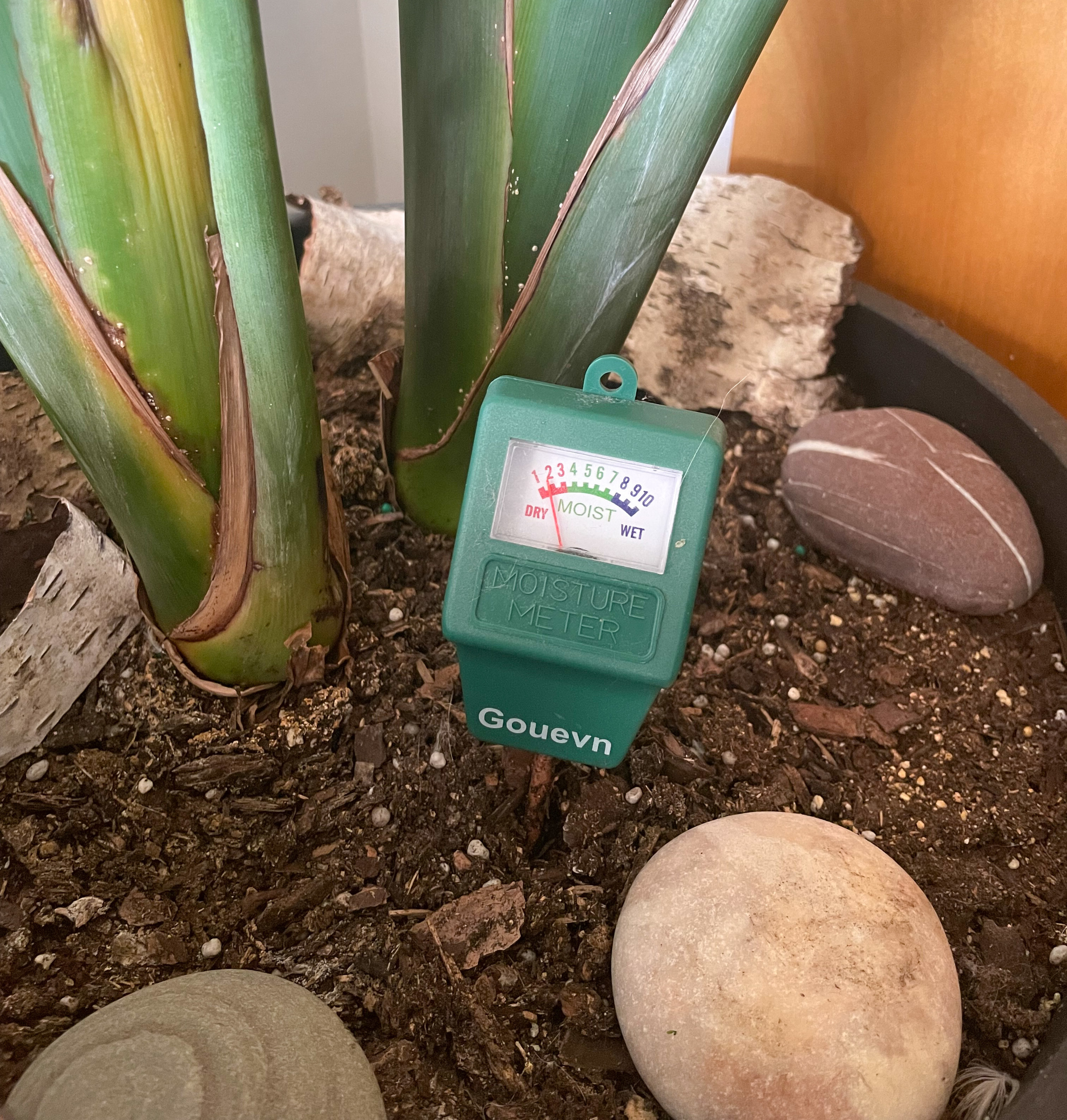 the moisture meter inside the plant pot