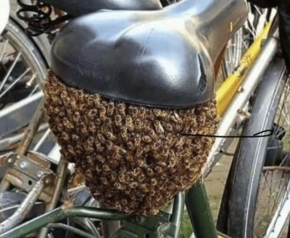 A massive group of bees grouped together under a bike seat