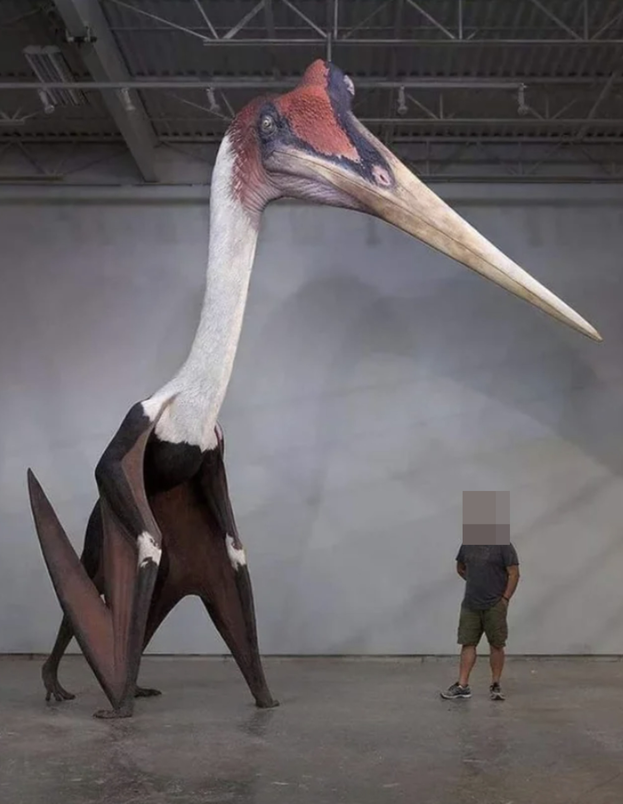 Model of a giant bird