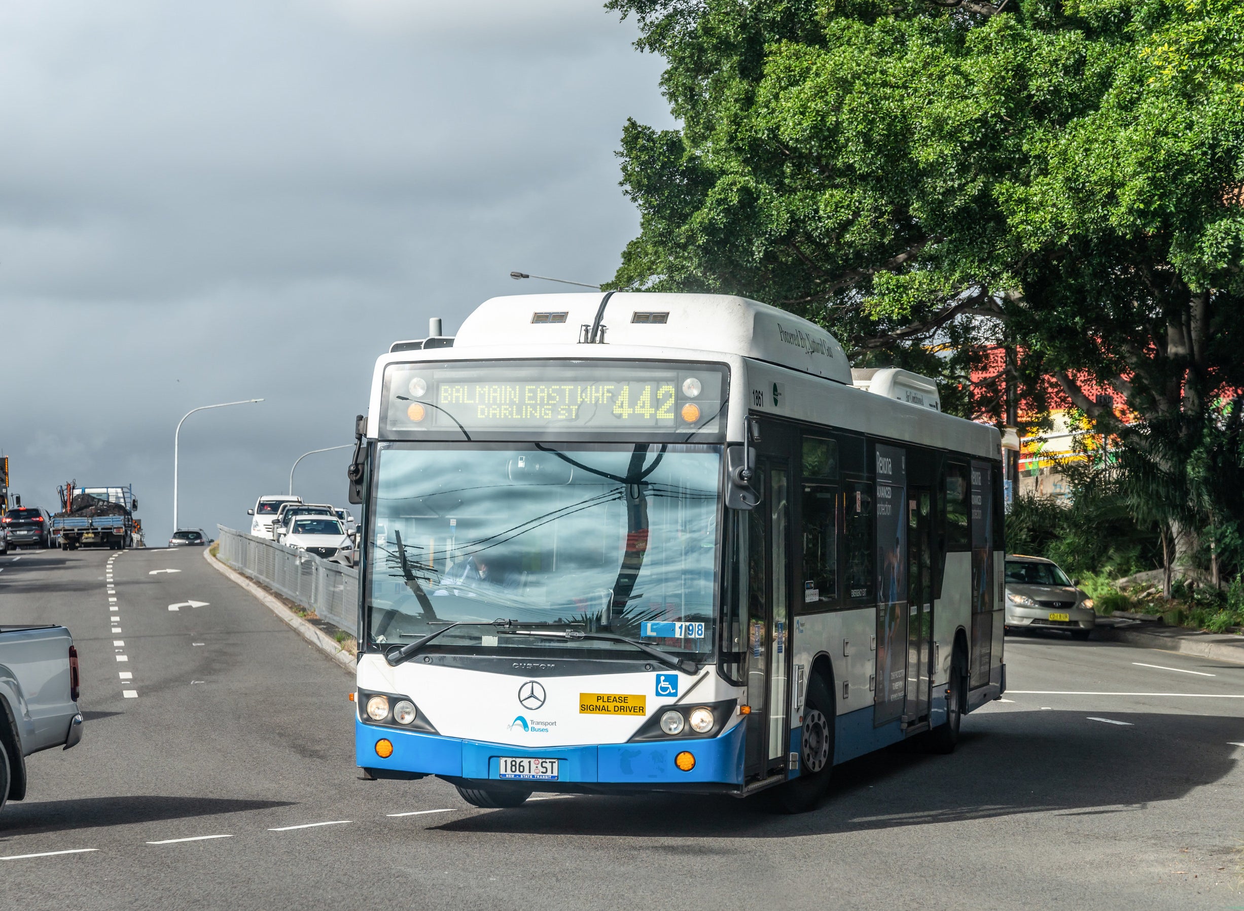 442 bus from Sydney to Balmain
