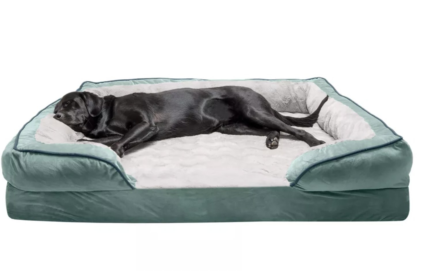 Lab resting on plush teal velvet dog bed
