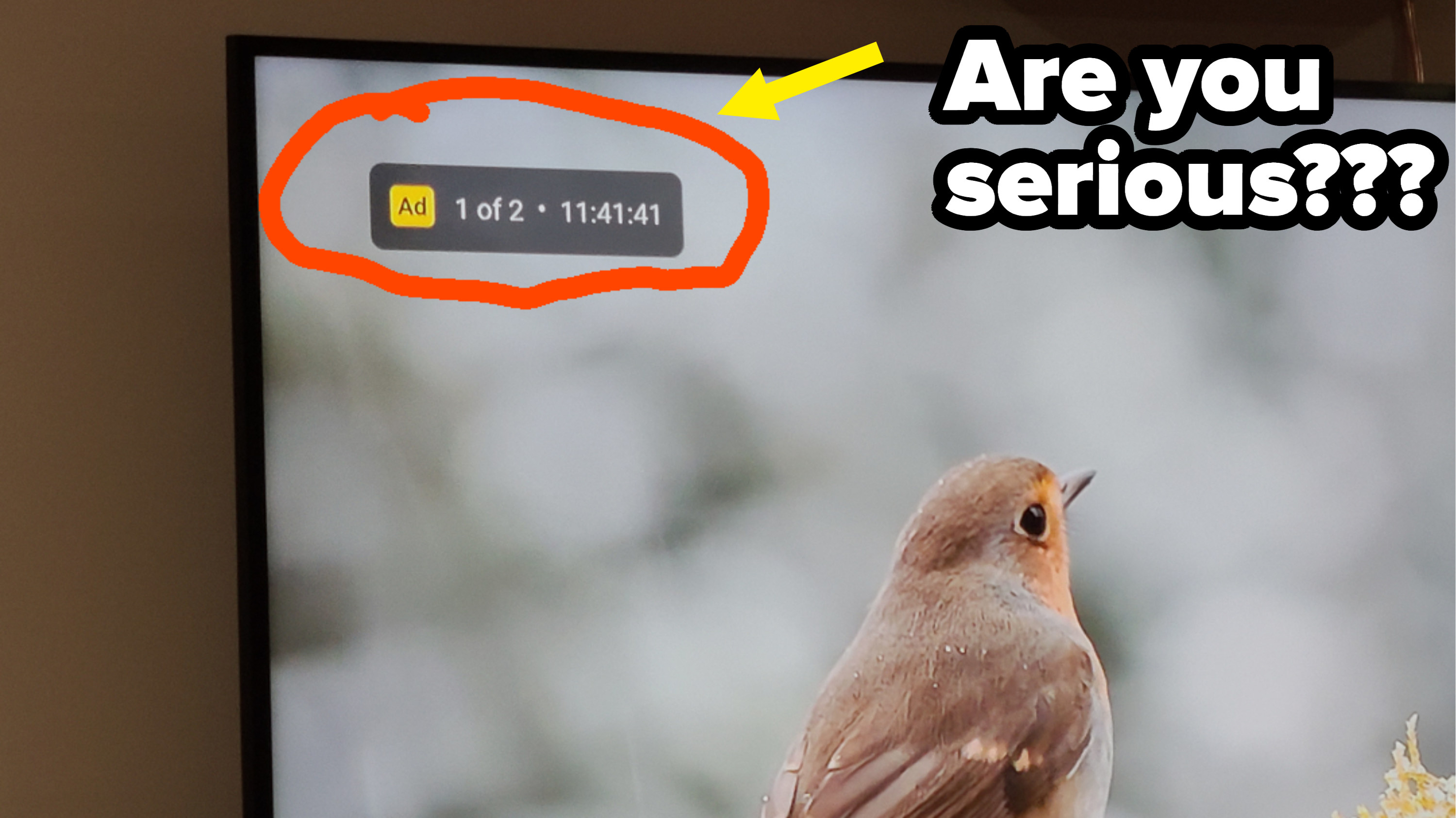 A YouTube screen with the notification &quot;Ad 1 of 2 — 11:41:41&quot;